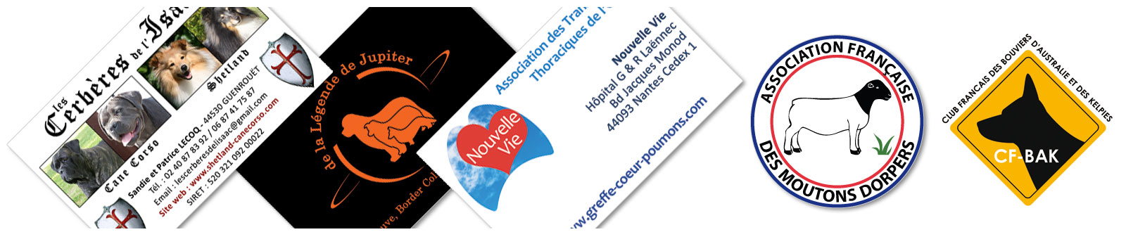 Création de logos et supports de communication web et print