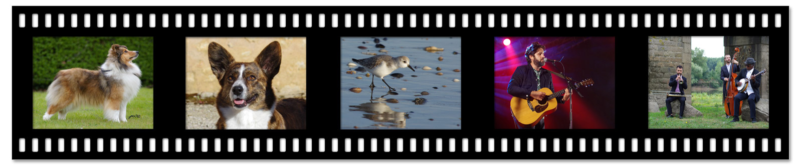 Portfolio photographie, reportages photos