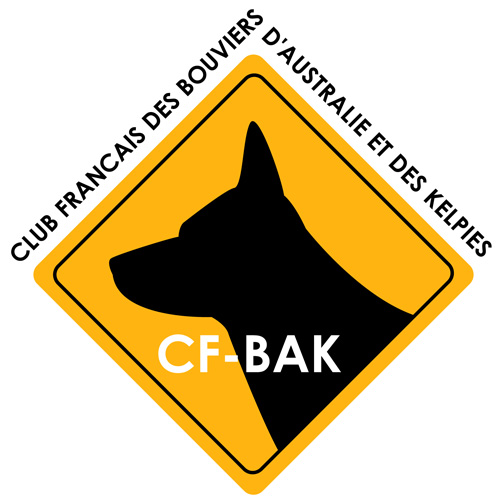 Logo du CF-BAK par Yorleen Design