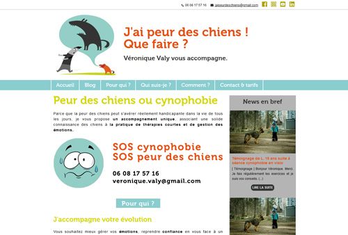 Site web de J'ai Peur des Chiens conçu par Yorleen Design