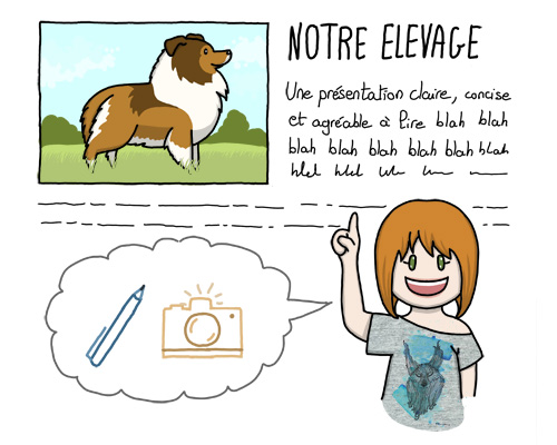 Rubrique création de sites web